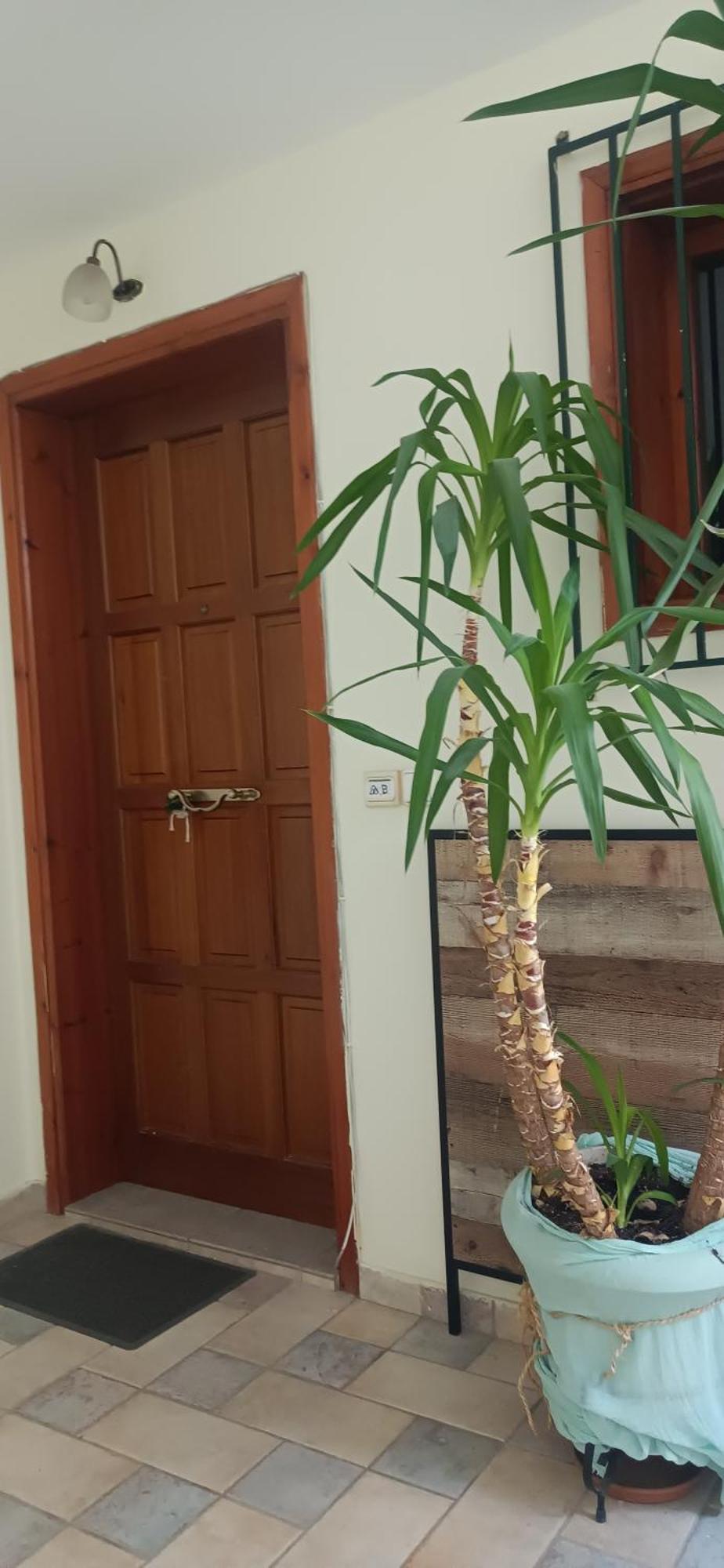 Στούντιο Κέντρου Άνω Πόλης Πάτρας Apartment Ngoại thất bức ảnh
